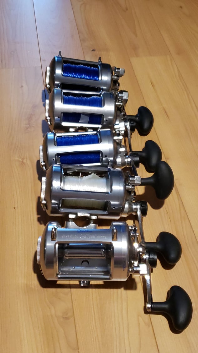 Quantum Cabo PTs 50 Spinning Reels - The Hull Truth - Boating and