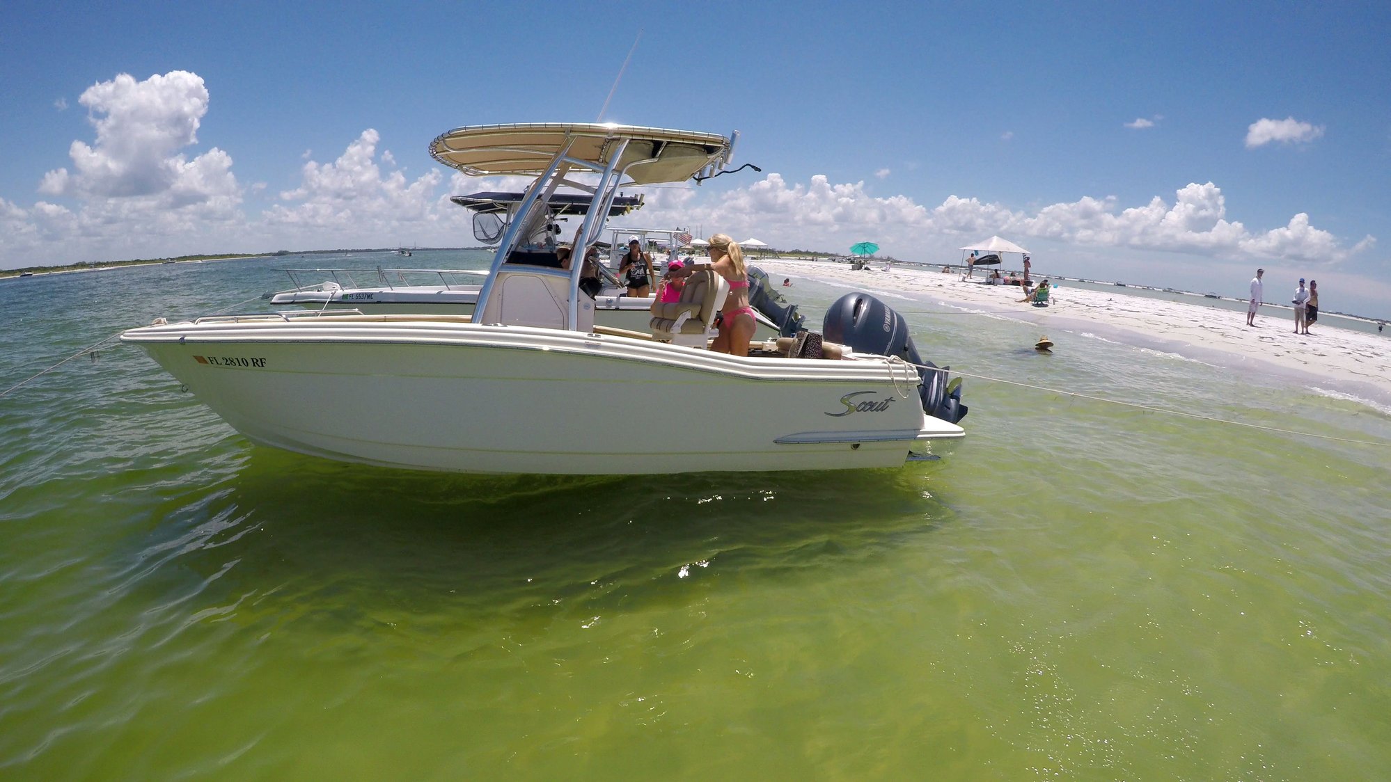 Beach umbrellas for the sand bar - The Hull Truth - Boating and Fishing  Forum