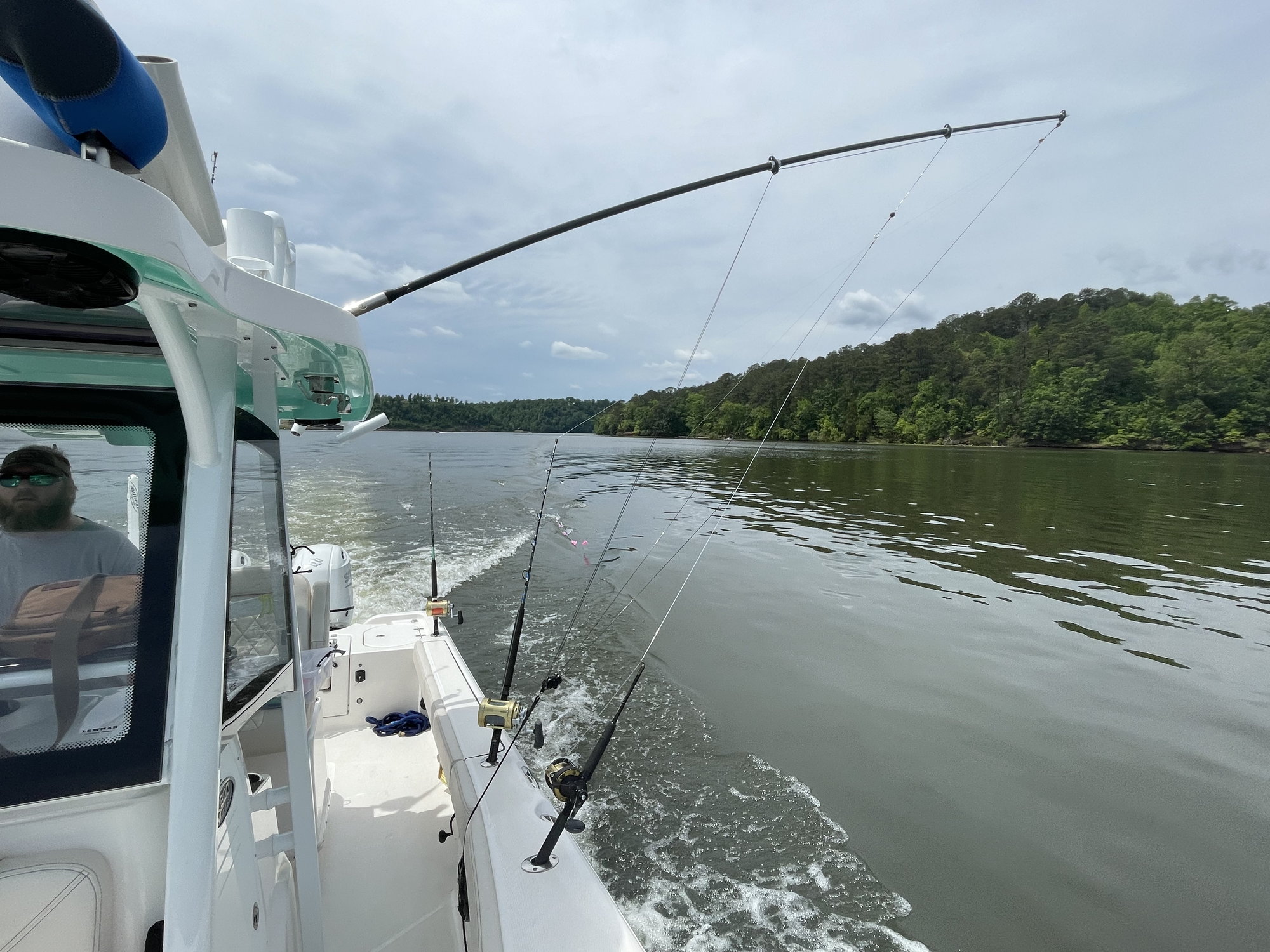 using teaser reels and teaser placement on center console - The Hull Truth  - Boating and Fishing Forum