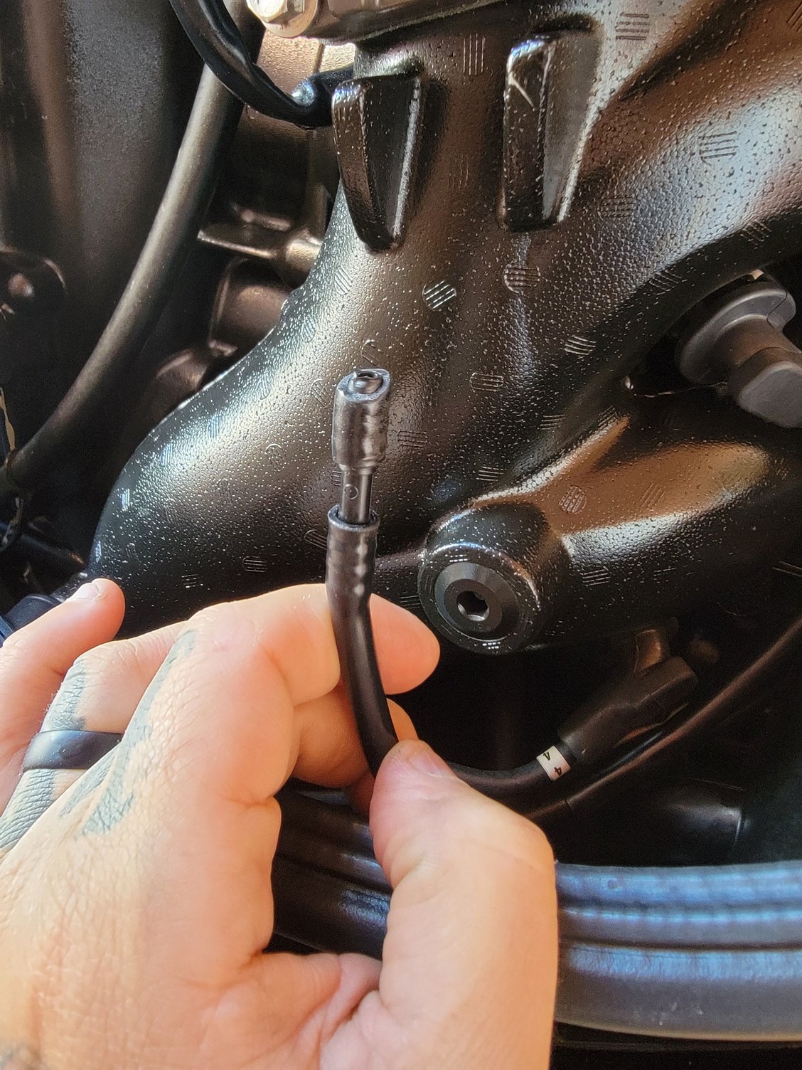 What sensor is this on my engine mercury pro xs The Hull Truth