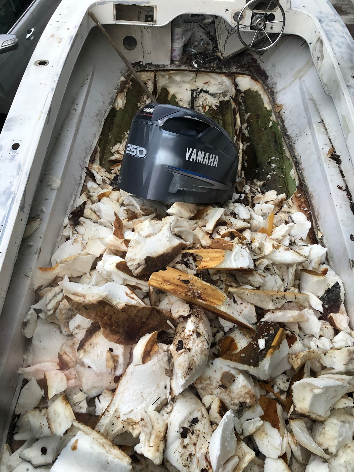 Getting rid of waterlogged foam The Hull Truth Boating and Fishing