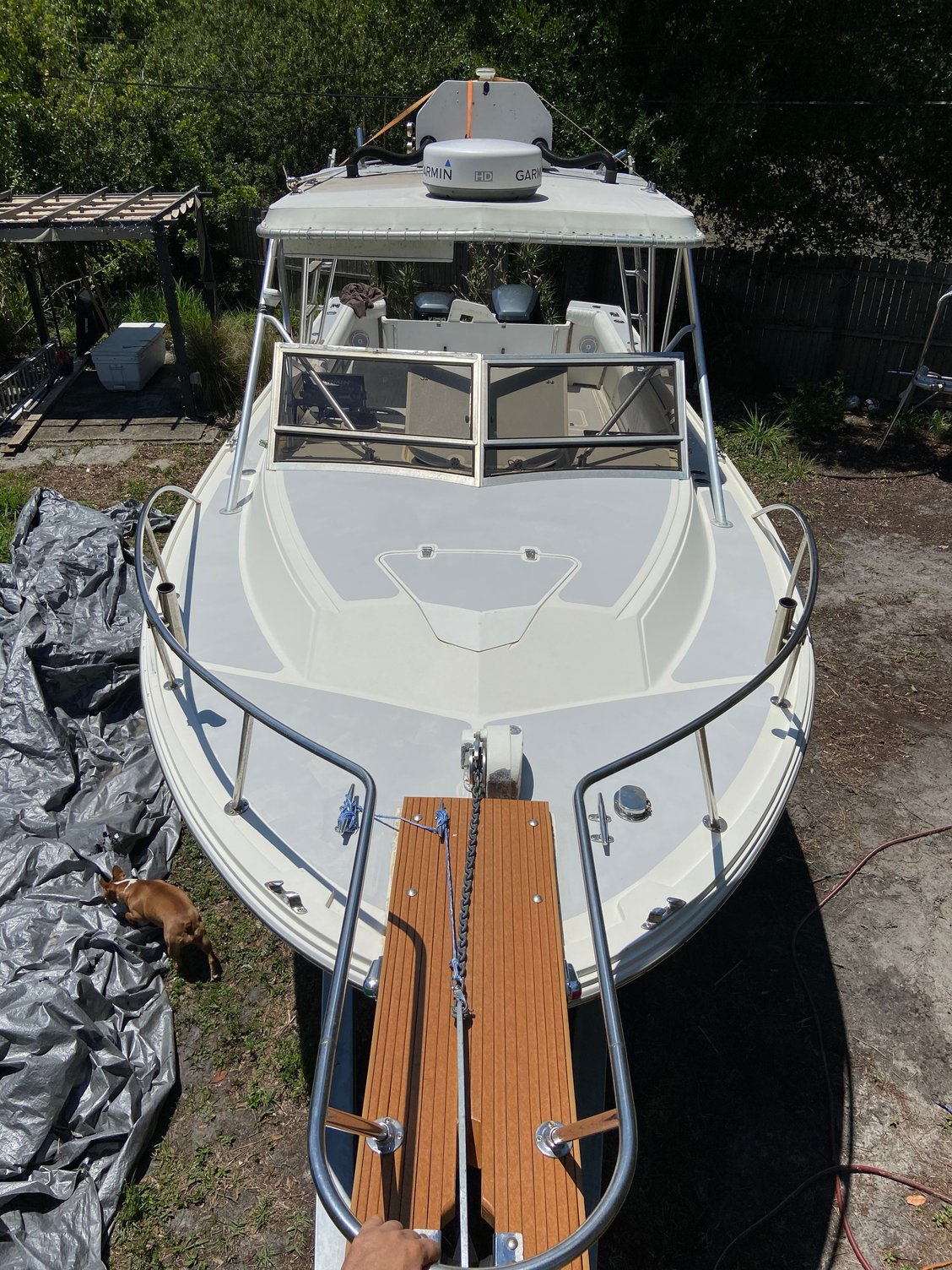 279 Blackfin Combi Twin Outboards The Hull Truth Boating and Fishing Forum