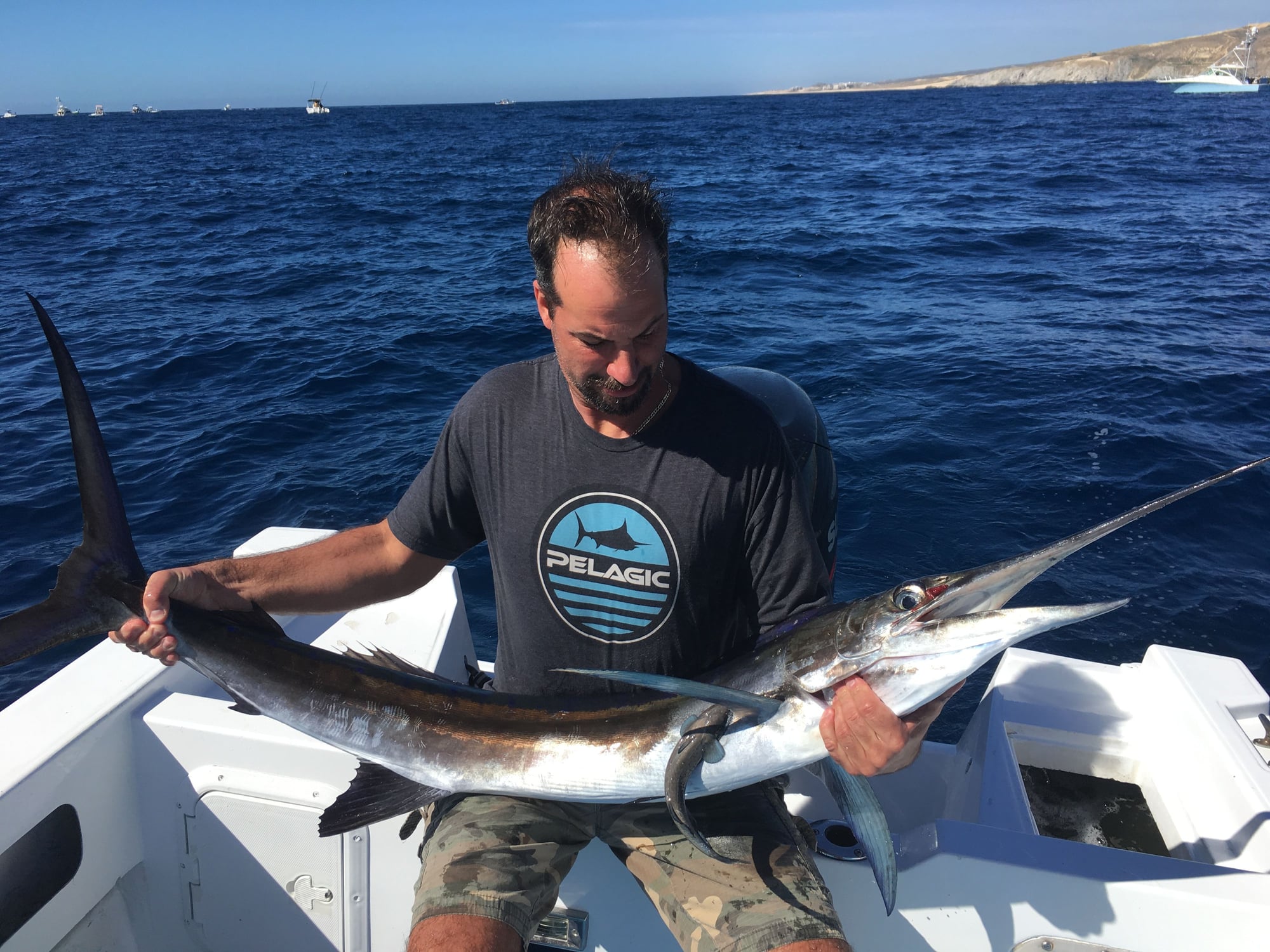 Cabo 1-5-19 to 1-12-19 - The Hull Truth - Boating and Fishing Forum