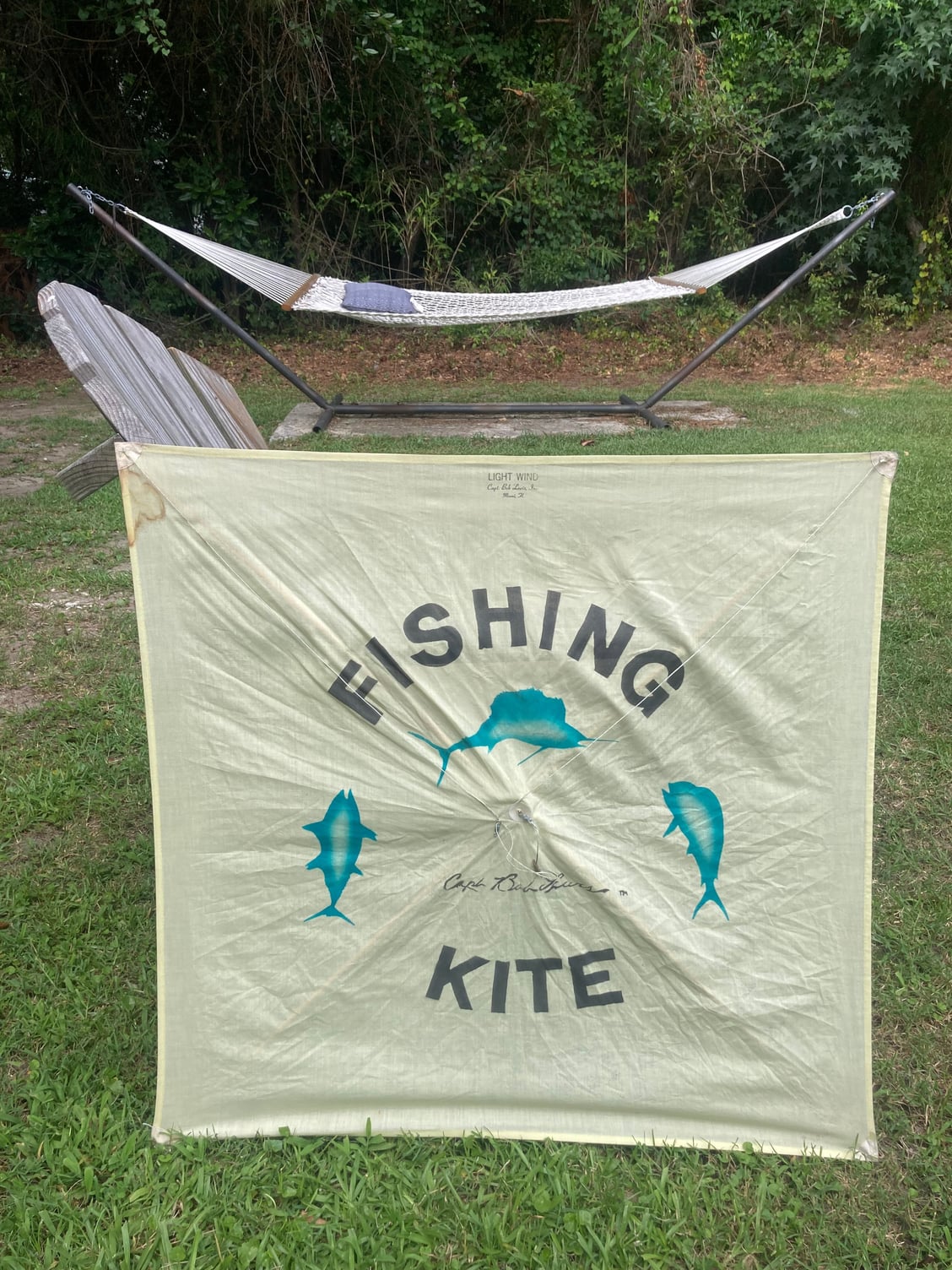 SFE Kites