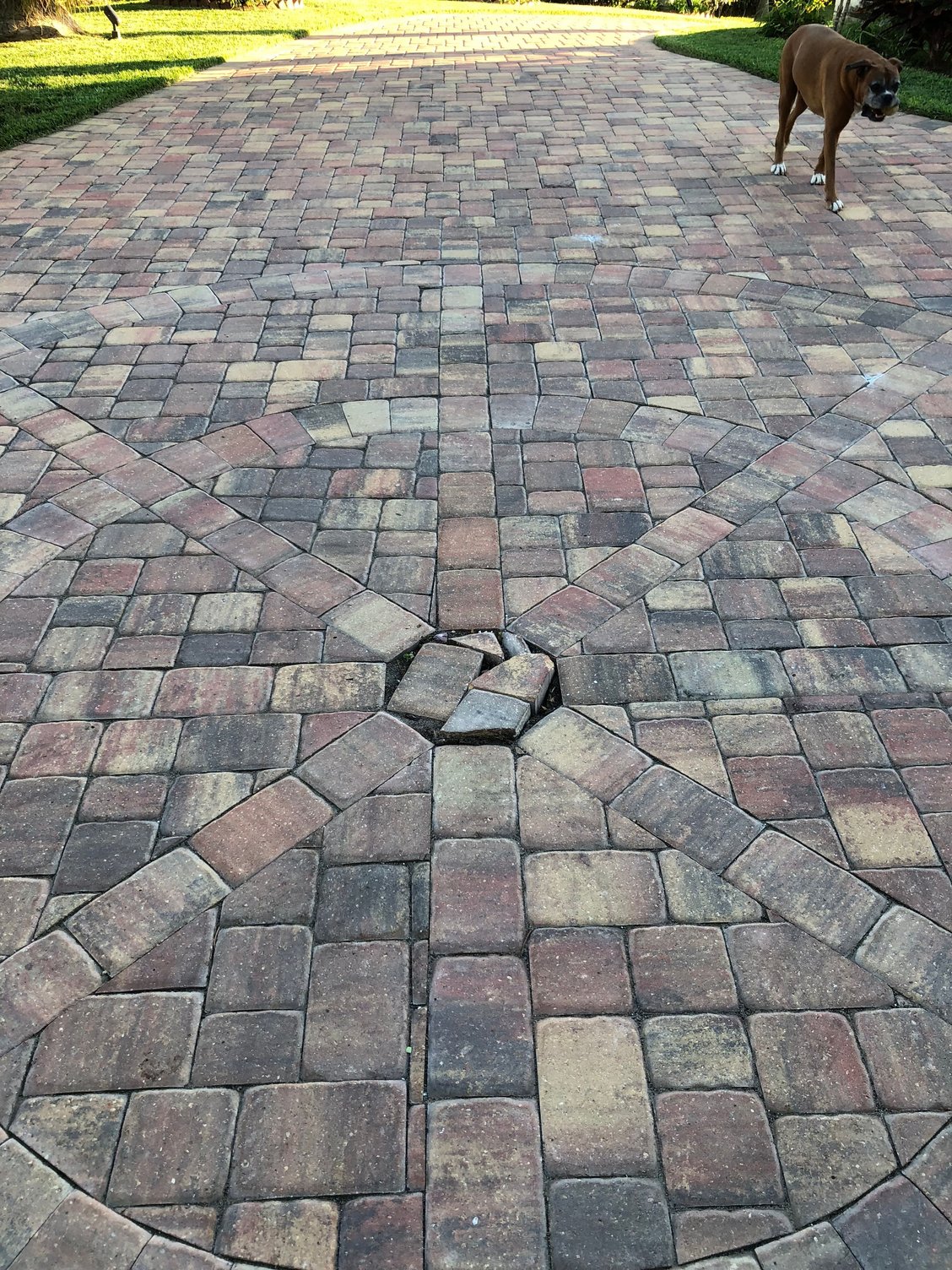 Cutting Pavers The Hull Truth Boating and Fishing Forum