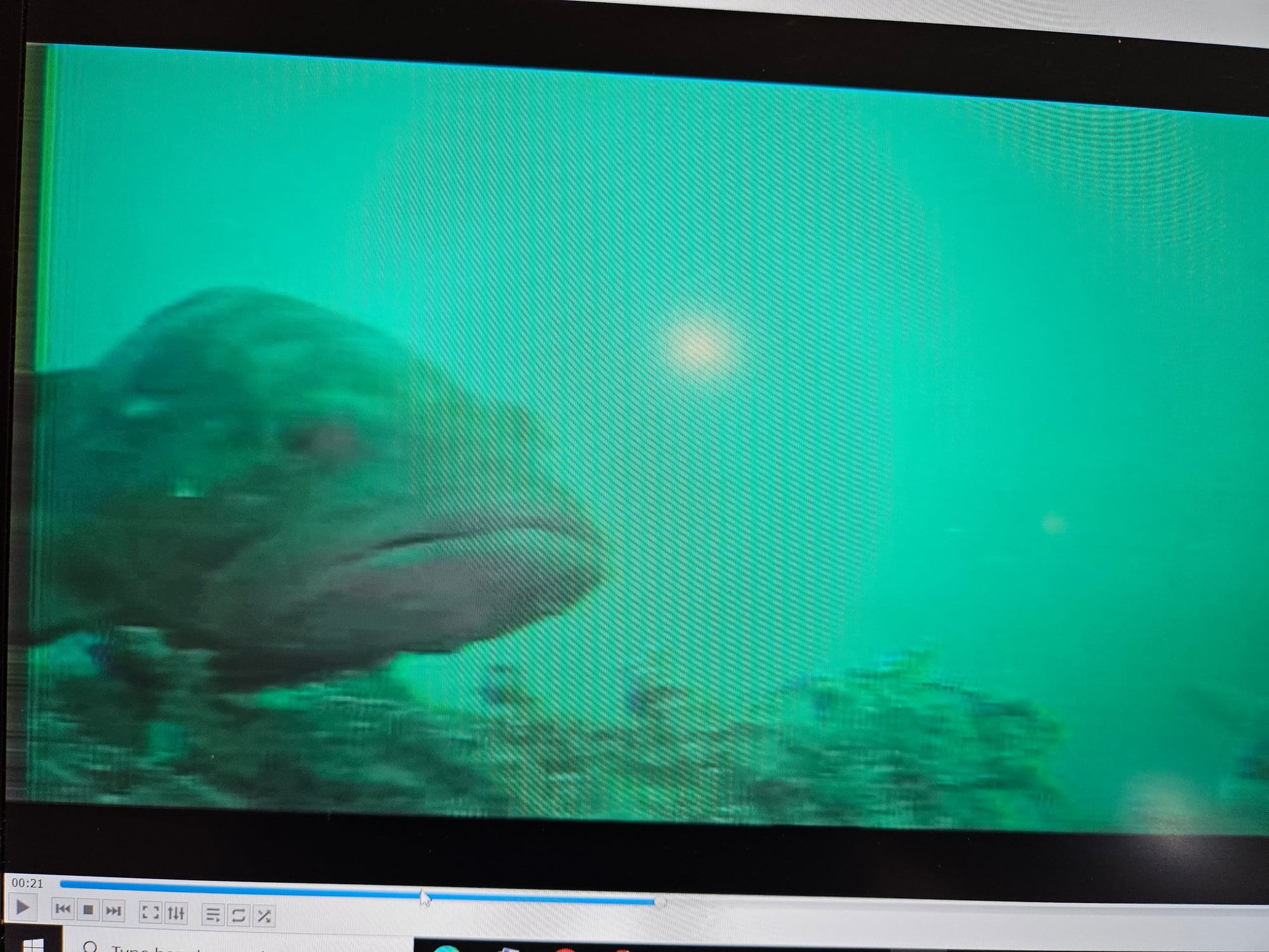 Eyoyo Underwater Fishing Camera Tripod-How to use?