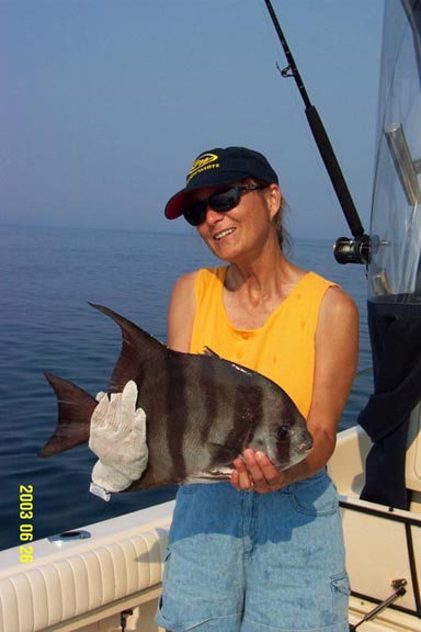 North Carolina's Outer Banks Albi Fishing - The Hull Truth - Boating and  Fishing Forum