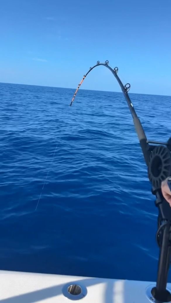 deep drop rod recommendations - The Hull Truth - Boating and Fishing Forum