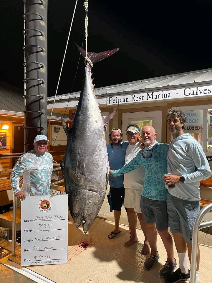 Best Bluefin Tuna Rig for Under $2000