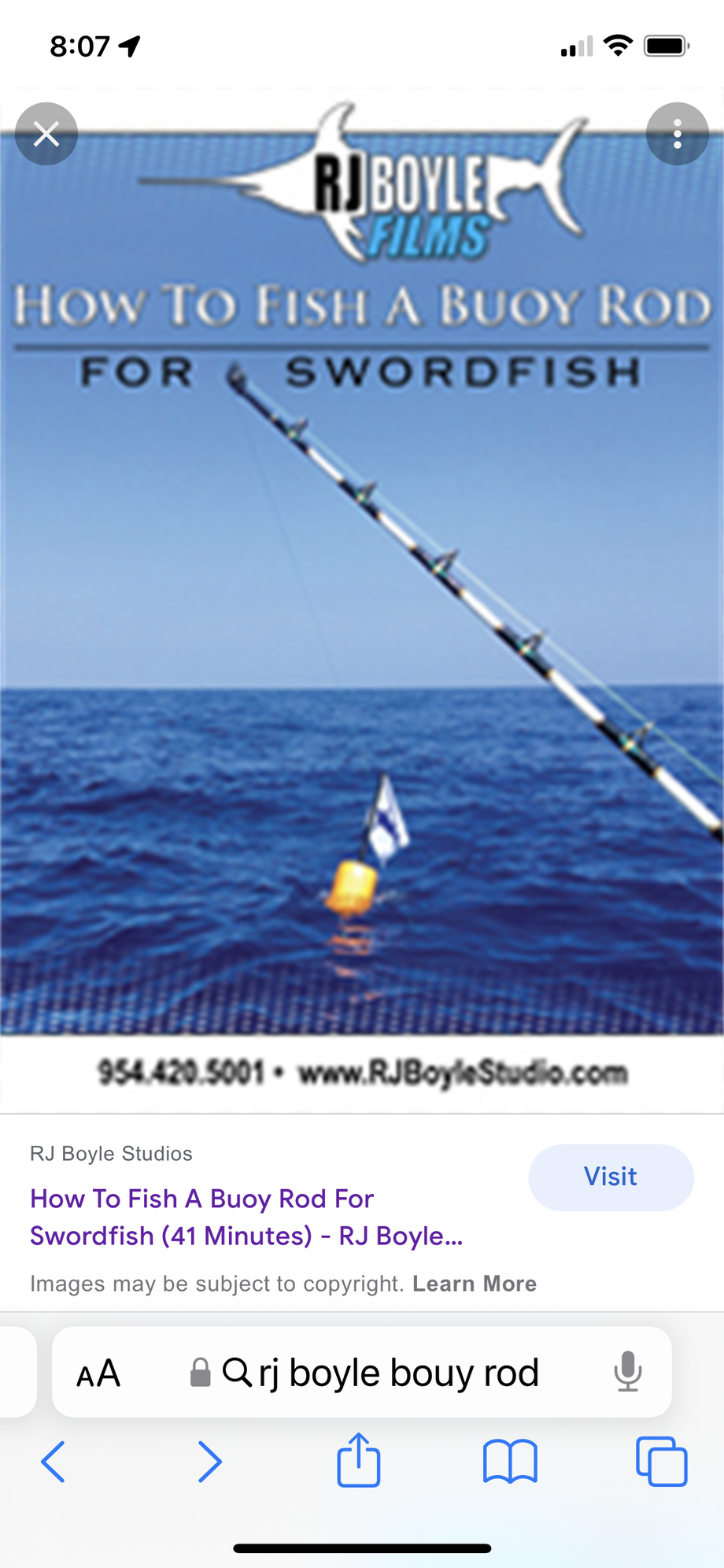 Day time sword rig - The Hull Truth - Boating and Fishing Forum