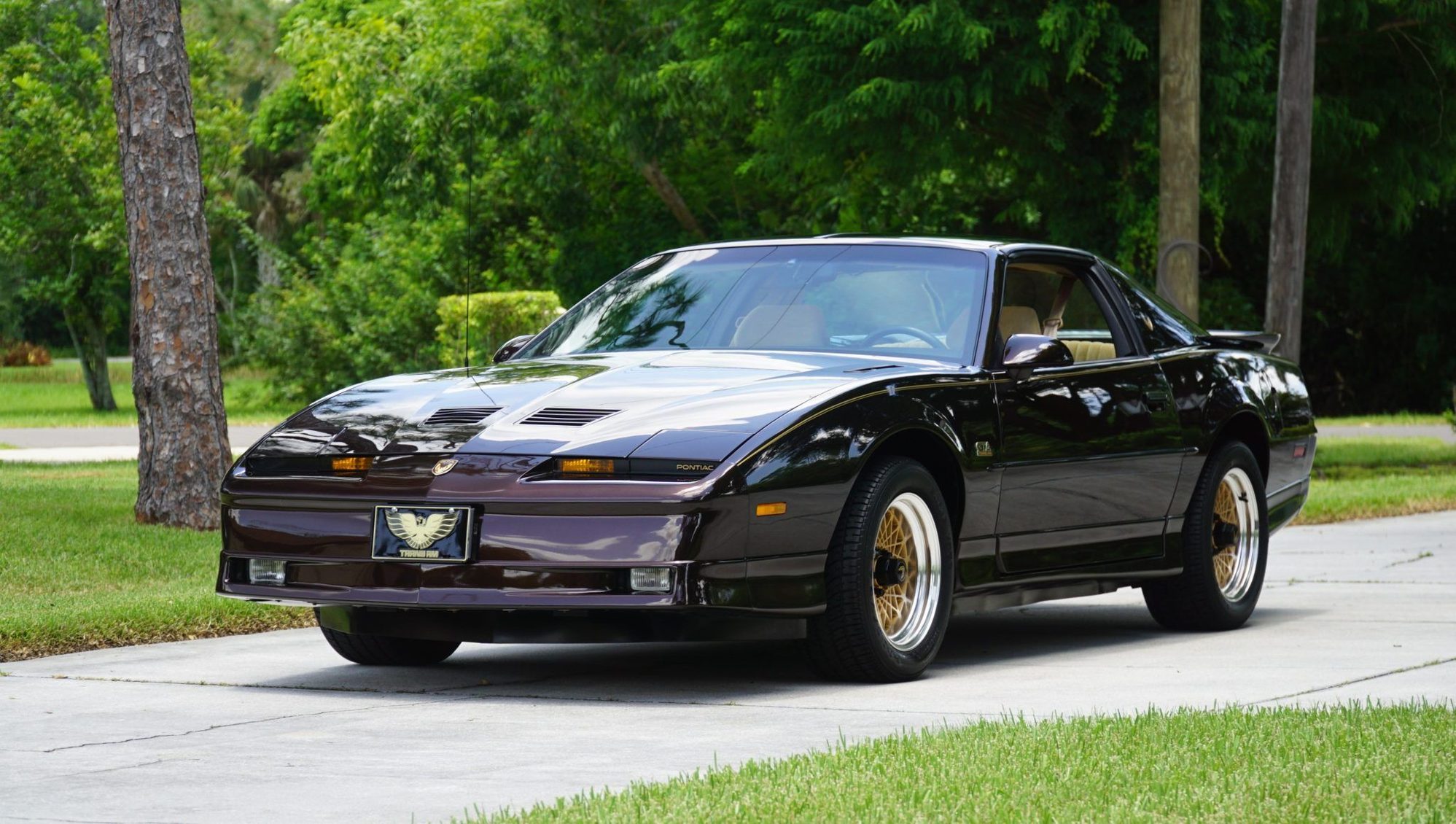 1987 Trans Am GTA that is also in a rare color like the Silver 1987 Formula above.