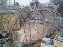 Ice Storm 2000
