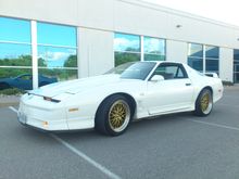 i kind of like these ,bbs lm (reps)
