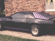 Purple louvers and 14" wheels... what a looker.
