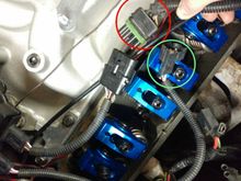 red to IM, green from coil