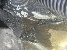 Front of the engine. Looks like the leak is either coming from the intake manifold, or head gasket. 

No symptoms, coolant looks clean, oil is not frothy, the exhaust does stink though on cold start with a nice plume of blue smoke. Temps are good. 