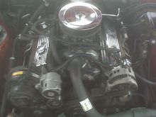 IMG00020