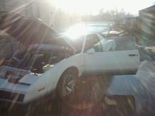 84 sport coupe firebird trans am hatch back tops automatic five speed sports suspension upgraded sway bars and dual exuast pontiac rims fade strip paint