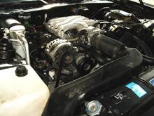 12 24 2010c 3.1L