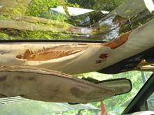 Driverside Head Liner...Destroyed.