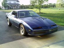 cartersfirebird (2)