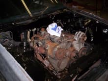 This is a 305 cubic in Small Block Chevrolet engine from the 1991 Chevrolet Caprice 4dr Sedan and 700R4 Transmission.