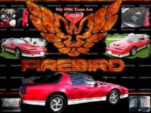 My 86 Trans Am Firebird Wallpaper
