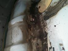 More rust
