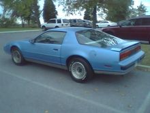 Just after purchase!
$700.00 at auction.