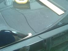 IMAG0320 summer 2011