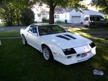 new paint 867