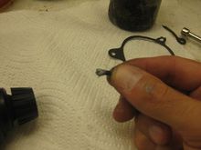 IMG 5657