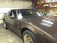 Always wanted a cool 80's trans am ever since my teens. I decided to look for one since I am getting a bit older now, and was searching on craigslist and other car sites for a GTA forever. I  Finally found her, and it was the best feeling ever. Not bad for a quarter life crisis car huh? lol