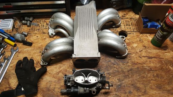 Plenum, runners, and throttle body