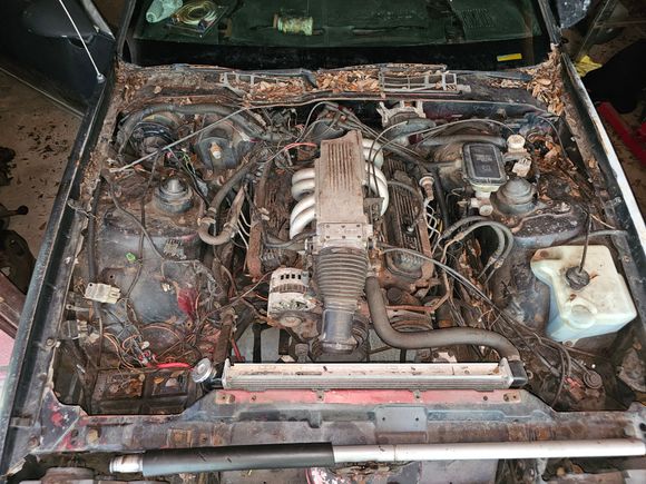 Motor has a tag saying that its been remanufactured. It has some chrome covers on it and oil pan. Its possible it has a hot cam in it. 