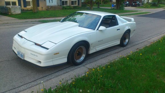 i removed the gold stripe ,went back to the cross lace rims and i love my trans am again .
if i had a tuned port i would hunt down a stock hood,but with an edlebrock rpm ,a carb spacer and a 14x3" open element air cleaner,im touching my cowl hood almost.i need to source some clips doe my aero spoiler at some point and swap it out.
