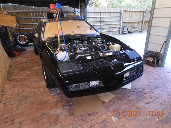 Painted fenders and nose 