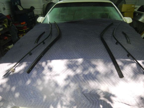 Laying them out prior to installing the foam strips.