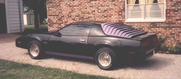 Purple louvers and 14" wheels... what a looker.