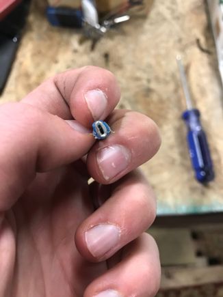 This is the wire that supposedly plugs into the speedometer sending unit. There are two of these, I just don't have the other one in hand because it's still attached to the bottom of the car.