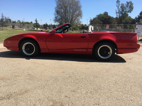 My 1992 TA Convertible. 5 speed, West Los Angeles car with 62,000 miles and every piece of paperwork since it left Van Nuys. Special Ordered car.