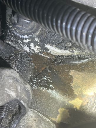 Front of the engine. Looks like the leak is either coming from the intake manifold, or head gasket. 

No symptoms, coolant looks clean, oil is not frothy, the exhaust does stink though on cold start with a nice plume of blue smoke. Temps are good. 