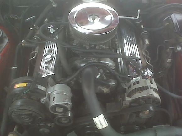 IMG00020
