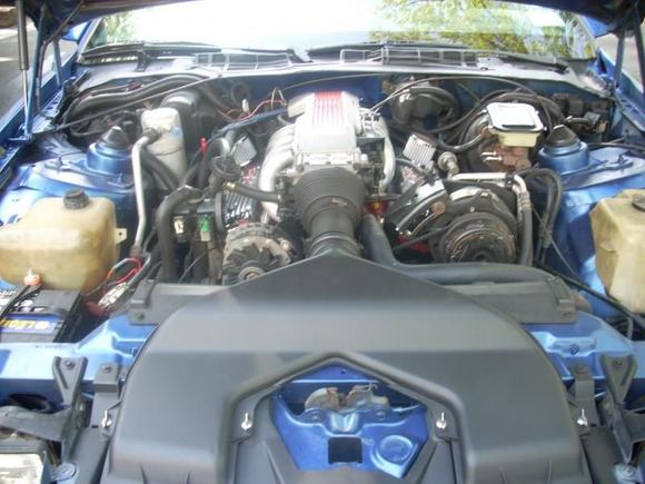 Beastly 350 Front view