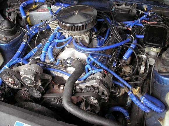355ci, comp cam, 2.02 heads, tbi w/65lb inj. and AA spacer, Fireball Ignition, Rac Tech shorty headers w/ MAG high flow cats into true duals, A/C delete, Champ Cooling 2 row all aluminum rad., 3300 cfm Black Magic fan, and lots of blue :)