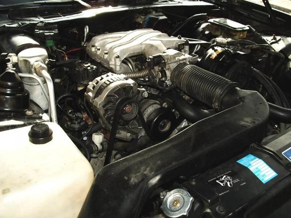 12 24 2010c 3.1L