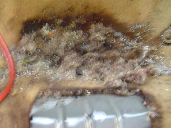 Below the Passenger Rear Seat.  I removed the Seat and this is what I found.... Damn MICE I hate YOU.