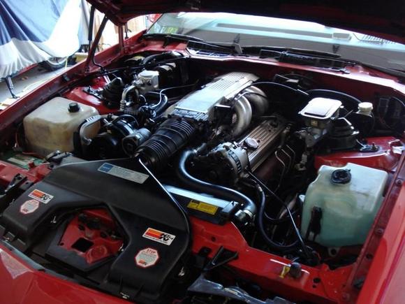 Removed 20 years of dirt and oil from the engine over the weekend. I should have taken a "before" photo. Looks nice for an all original 21 year old car!!