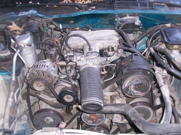 Engine Shot when i got the car