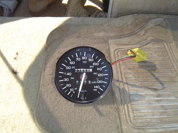 speedo